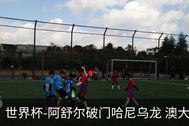 世界杯-阿舒尔破门哈尼乌龙 澳大利亚1-1埃及进加时